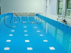 莱恩斯用实惠的价格赢得支架泳池用户