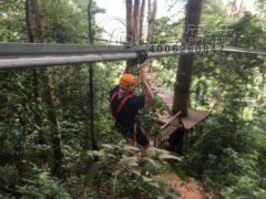 丛林穿梭运动更适合森林山地旅游景区