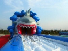 水上充气滑梯可以与各种水池组合使用